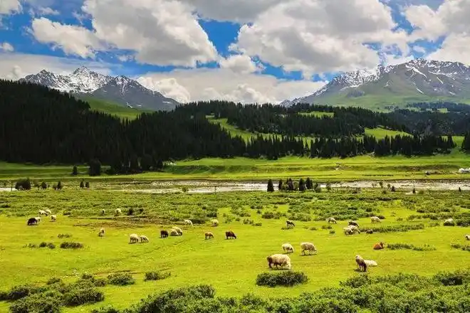 天下美景 ·伊犁草原|伊犁|大峡谷|喀拉峻|巴音布鲁克|那拉提_网易