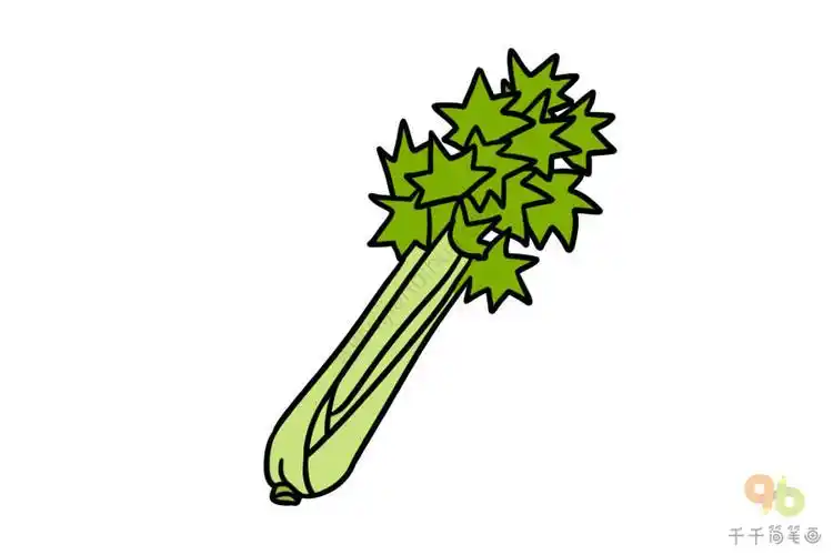 好吃又营养的芹菜简笔画大全值得收藏