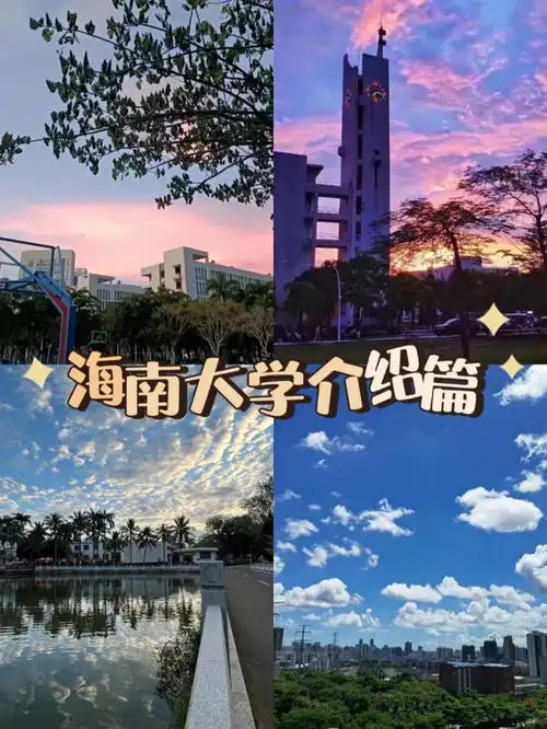 海南大学介绍|一所性价比超高的21193