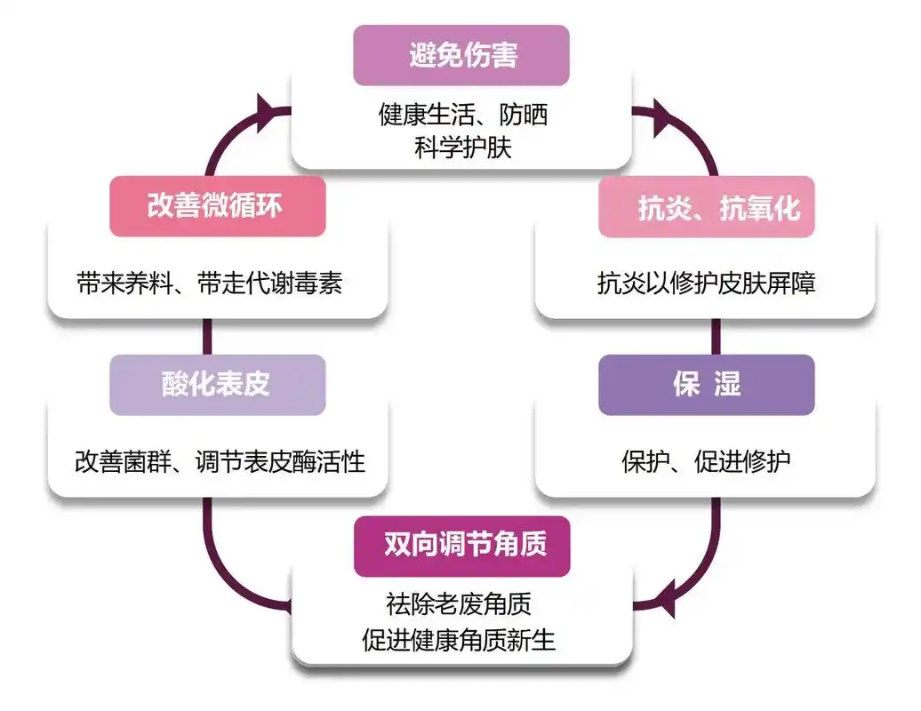 皮肤屏障:不单单是保湿,微生物屏障,化学屏障,物理屏障,免疫 - 抖音