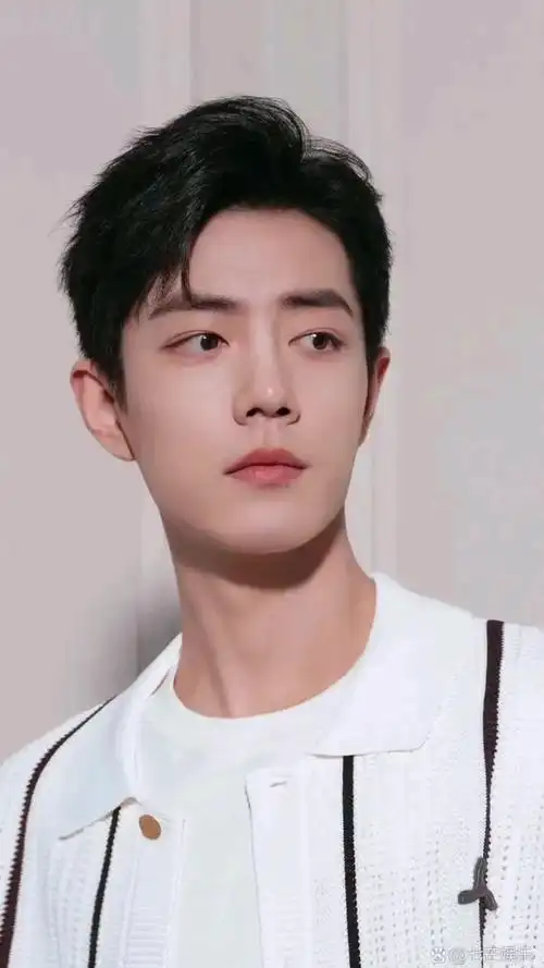 完美侧颜杀 热爱可抵岁月漫长 肖战 星河滚烫你是人间理想