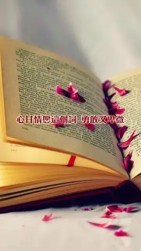 心甘情愿这次个词,勇敢又卑微
