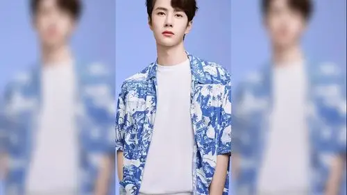 全国各省男星颜值代表,北京鹿晗河南王一博,上海的堪称人间理想