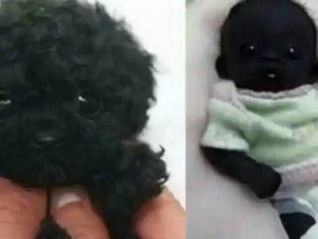 四通说:世界最黑小孩出生引轰动,不是一般的黑!