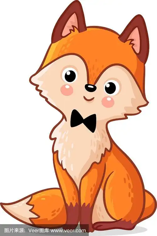 可爱的狐狸坐在白色的背景上