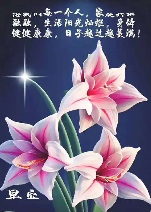 今日最新早上好表情图片大全,非常时期,吉祥安康,快乐每一天!