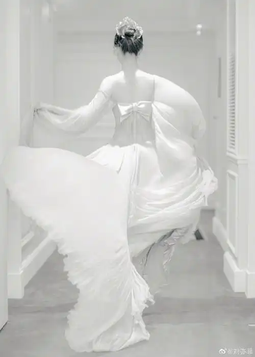 如果我放出刘亦菲这个背影,阁下可还有图应对?