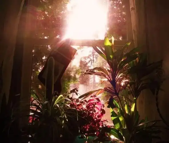 上学进行曲浙江金华环城二小