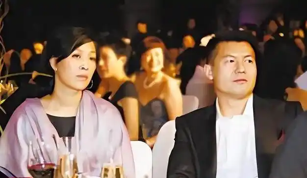 那英与高峰分手后迅速与酒吧老板孔夫子再婚儿子据为己有