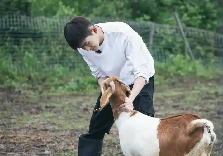 别再说张翰立孤独人设了,他在慢综艺中做的5件"傻事"多接地气_王子文