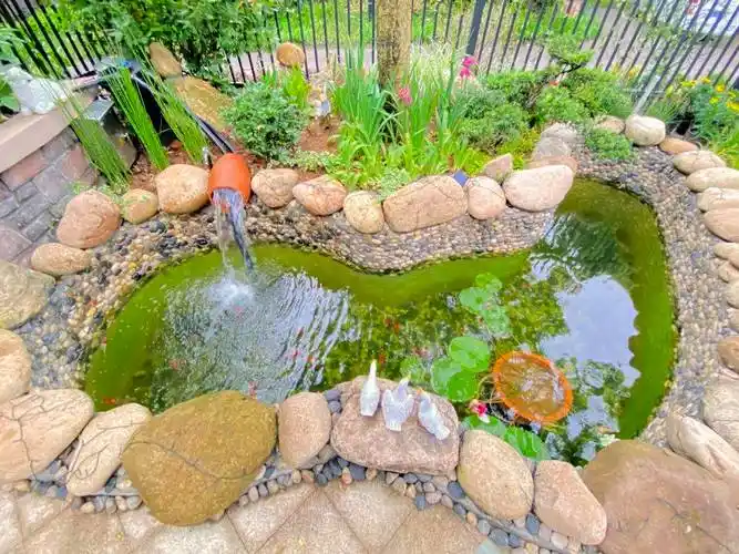 庭院设计|庭院鱼池设计成功的七大要素,缺一不可_水池_影响_鱼儿