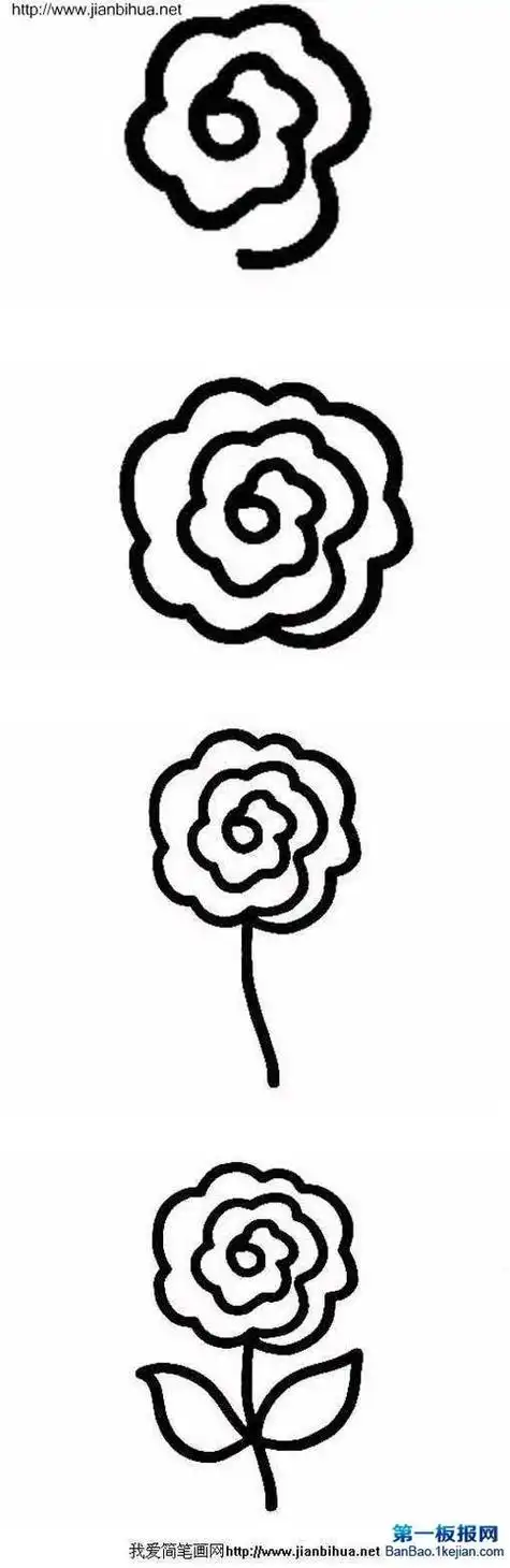 年花绘画简笔画