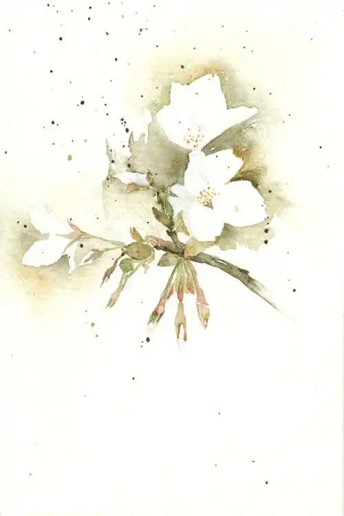 花草,水墨,封面,淡雅,唯美,插画,古风