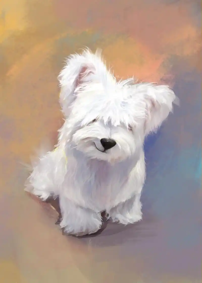 宠物绘画  修狗  邪魅一笑.#约稿 #狗狗 - 抖音