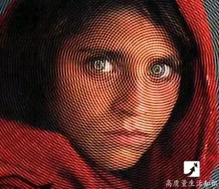 世界上最诡异的13张图,看得懂的人都震惊了!