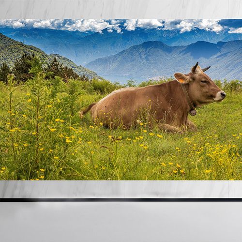 卧牛画黄牛画牛吃草唯美客厅餐厅装饰画贴画挂画牛年吉利年画w62