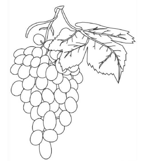 小学生用颜料上色的画有哪些简笔画