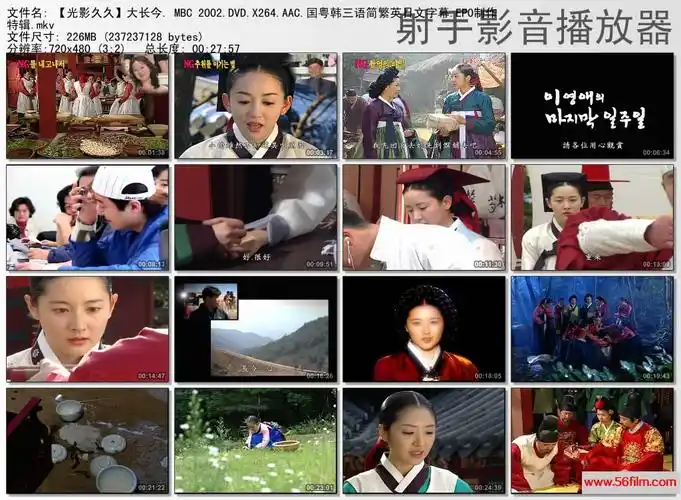 59影视大长今mbc2002dvdmkv国粤韩语简繁英日字幕54集全花絮访谈