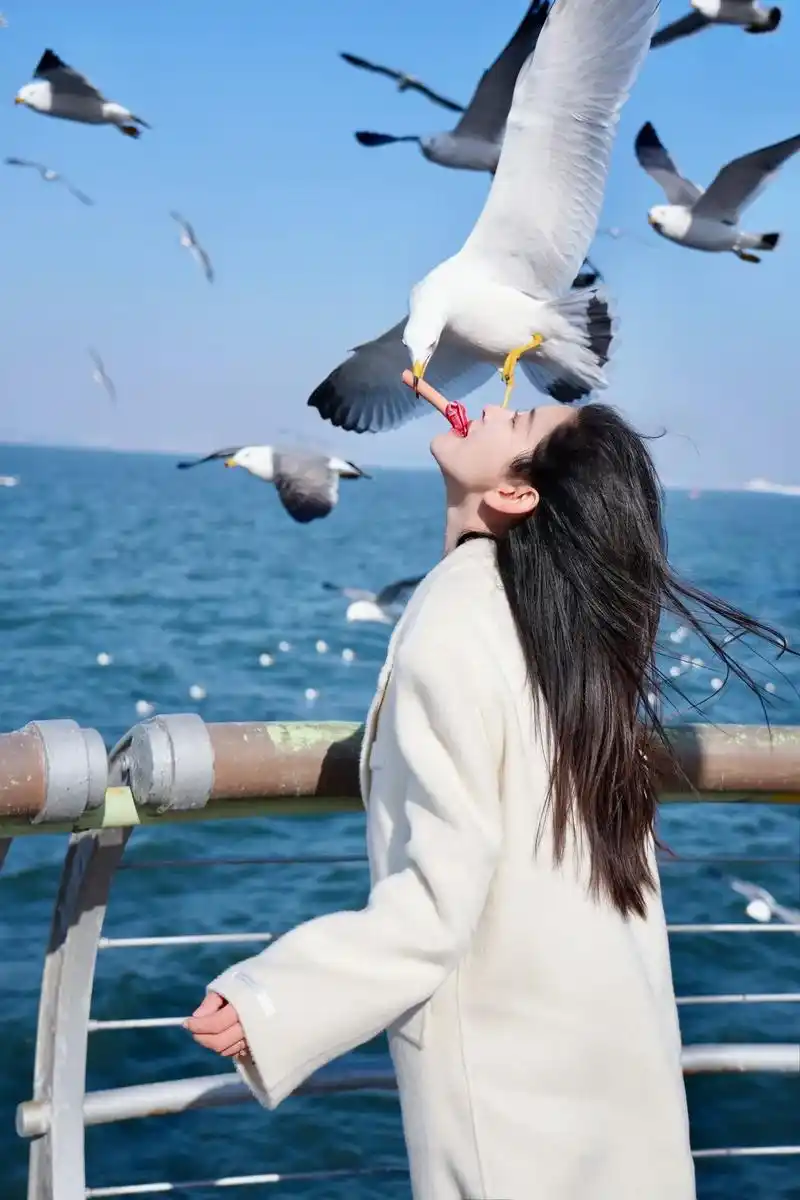 也想看看你们拍的和海鸥的合影