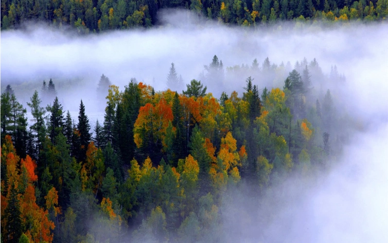 这里是人间仙境,神的花园,每一步的风景都惊艳了世界!
