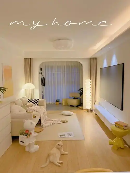 55平!2室一厅!装修真的5.5w93