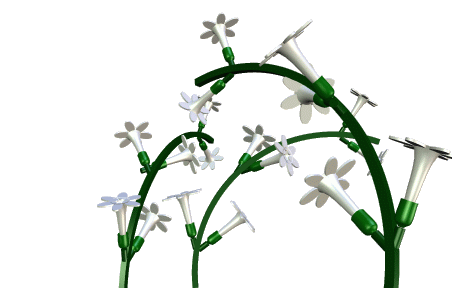 连翘花与迎春花 - 图片素材 - 锐普ppt论坛 - powered by discuz!