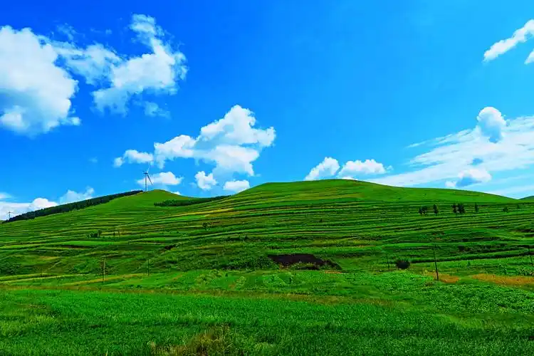 北京河北张家口张北野狐岭草原天路桦皮岭沽源县大滩坝上草原自驾游旅