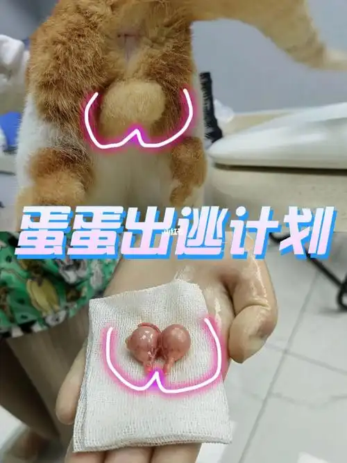 被医生夸蛋蛋大