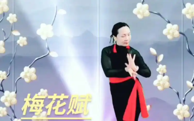 广场舞《梅花赋》正面演示