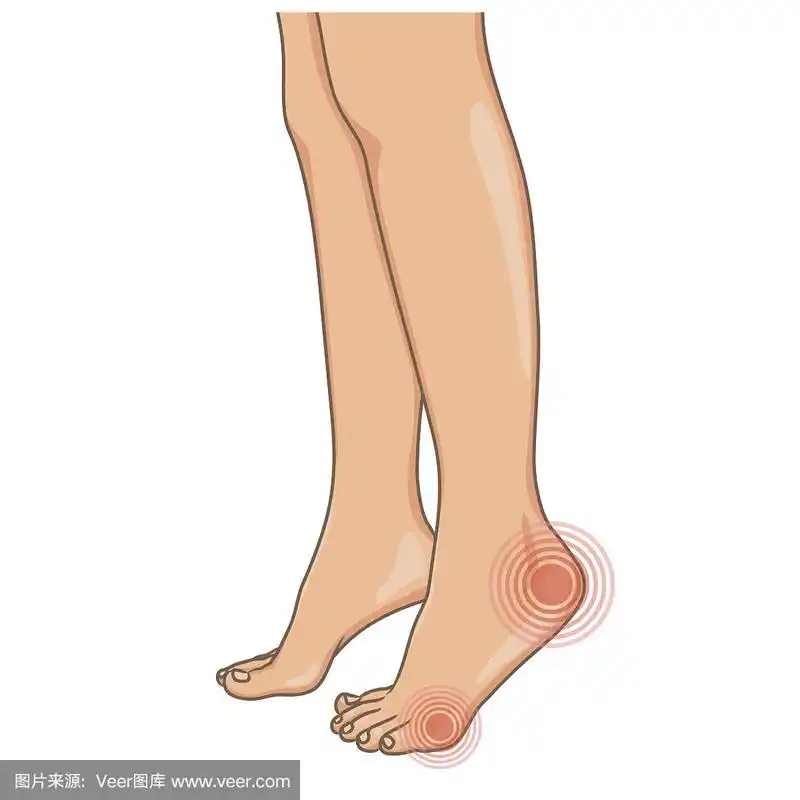 女性双腿赤脚,侧视.矢量插图,手绘卡通风格孤立在白色.