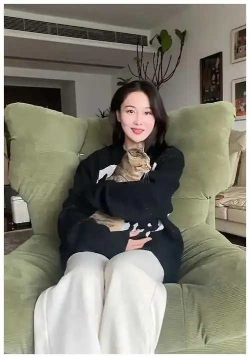 张馨予晒家猫婚房内景古典大气何捷低调亮相matchcondition