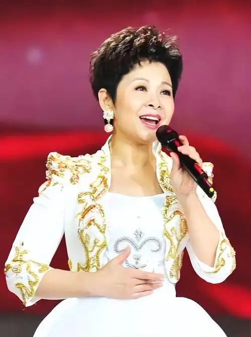 歌手董文华的个人资料