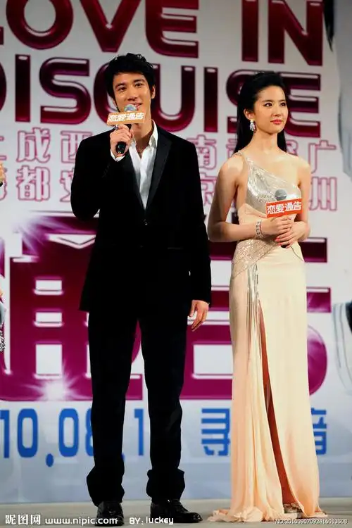 刘亦菲 王力宏