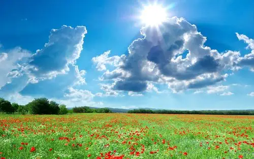 春天的花海高清原图下载,春天的花海,高清图片,壁纸,自然风景-桌面