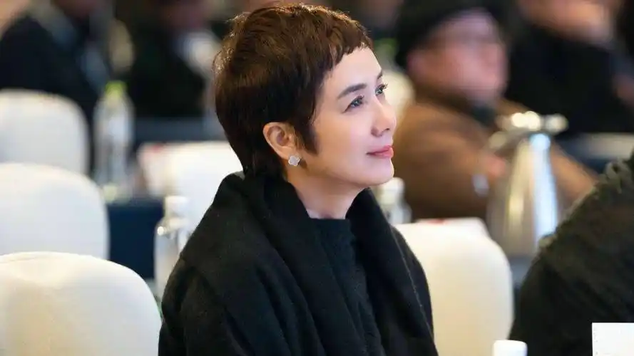 57岁蒋雯丽上演恋爱,亲热拥抱画面太美,仅播10集实在看不下去_徐凯