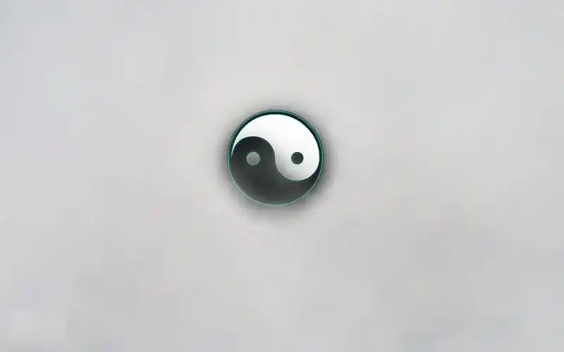 太极图的真正意义,高清图片-壁纸族