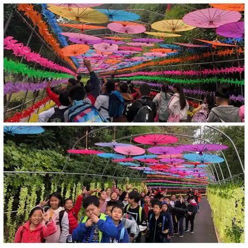 大路小学501班锦绣江南研学活动