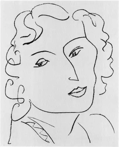 马蒂斯的速写线条好美妙