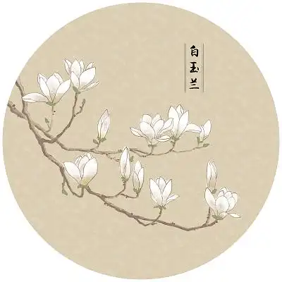 国风古风水墨玉兰花古风中国风唯美工笔画