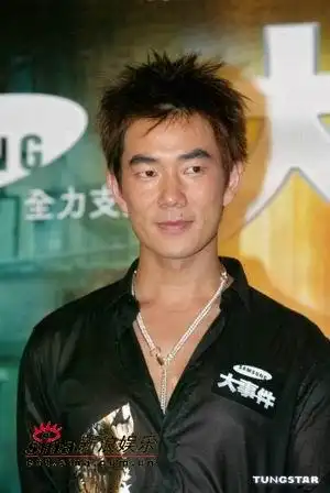 图文大事件首映陈慧琳任贤齐黑衣扮酷16