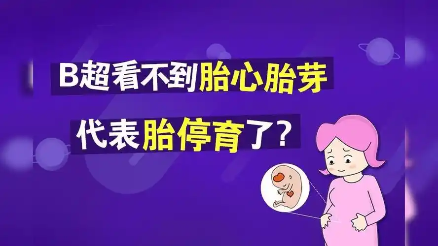 b超看不到胎心胎芽,是胎停育了?