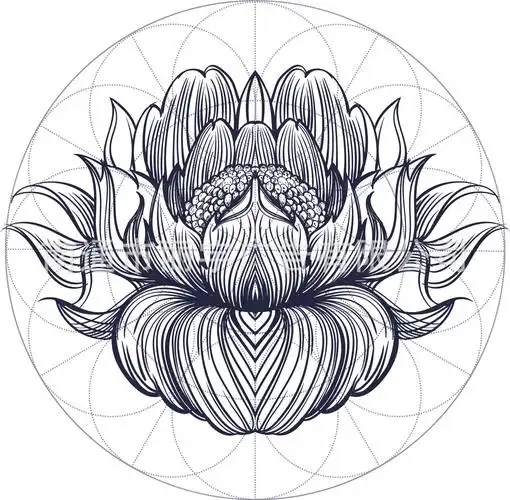 莲花装饰贴图片-海量高清莲花装饰贴图片大全 - 阿里巴巴