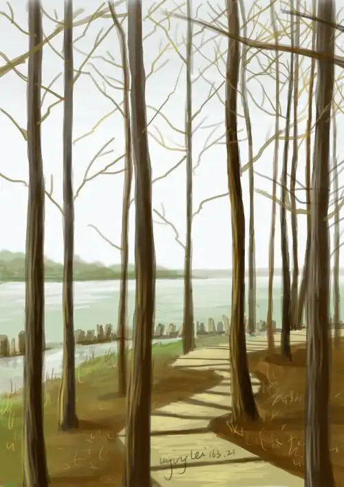 树林|插画|插画习作|uuujl - 原创作品 - 站酷 (zcool)