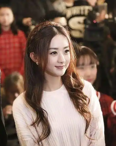 赵丽颖动了别人的奶酪,将有"大黑"等着她,只因挡了别人的道_网友_迪奥