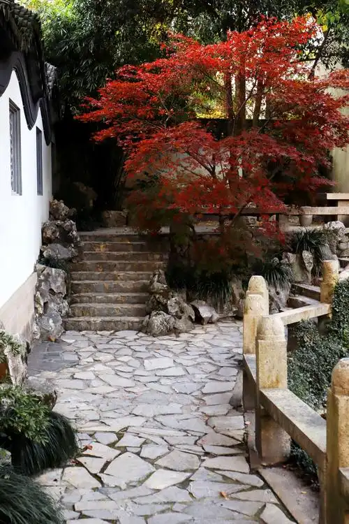 江南园林秋色《曲水园》