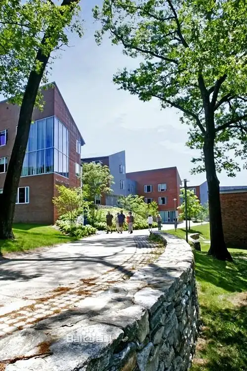 布兰迪斯大学布兰迪的乳胶