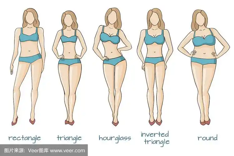 女性身材,女性体型,五种类型