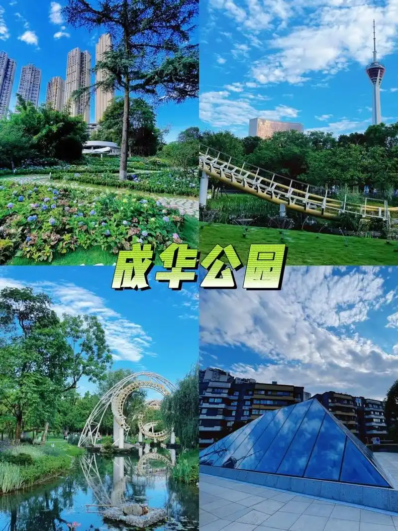 绝对不能错过的成华公园73 92成都是一座充满浪漫气息的城市 随着