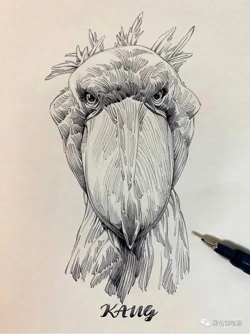 有没有这种纯线画的图?