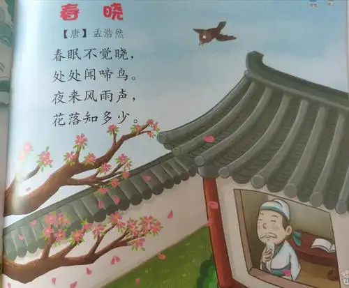 中班课程:第80节 绘本阅读:复习古诗《春晓》 活动